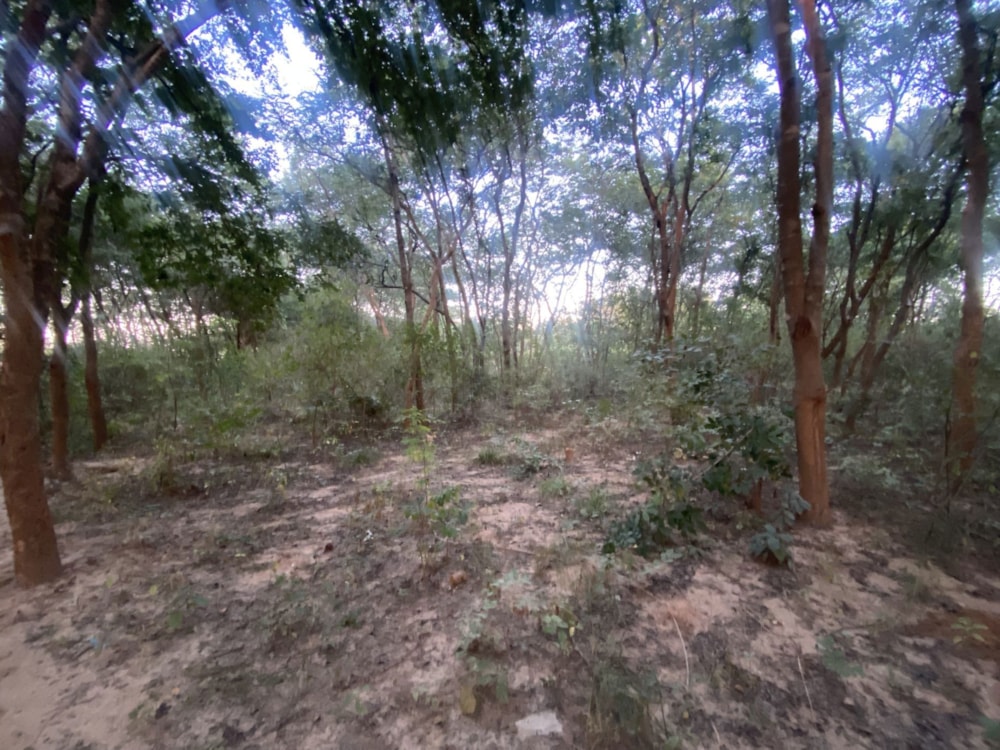 Vacant land for sale in Chudleigh, Zambia - 3ZA1702294 Vacant land for sale in Chudleigh, Zambia - 3ZA1702294
