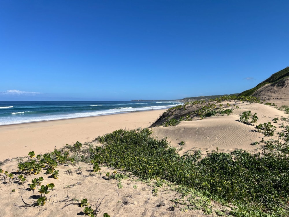 Vacant land for investment in Inharrime, Mozambique - 3MQ1702456