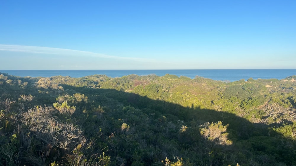 Vacant land for sale in Paradise Beach, Jeffreys Bay - 1JF1706935 Vacant land for sale in Paradise Beach, Jeffreys Bay - 1JF1706935