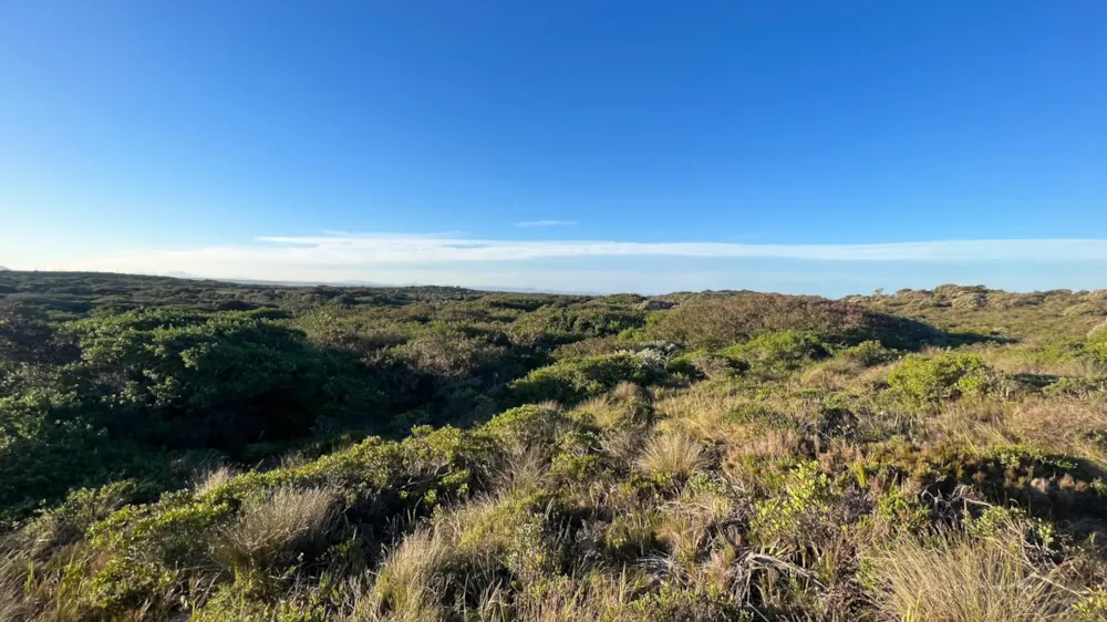 Vacant land for sale in Paradise Beach, Jeffreys Bay - 1JF1706935 Vacant land for sale in Paradise Beach, Jeffreys Bay - 1JF1706935
