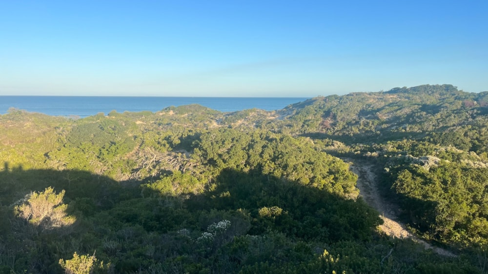 Vacant land for sale in Paradise Beach, Jeffreys Bay - 1JF1706935 Vacant land for sale in Paradise Beach, Jeffreys Bay - 1JF1706935