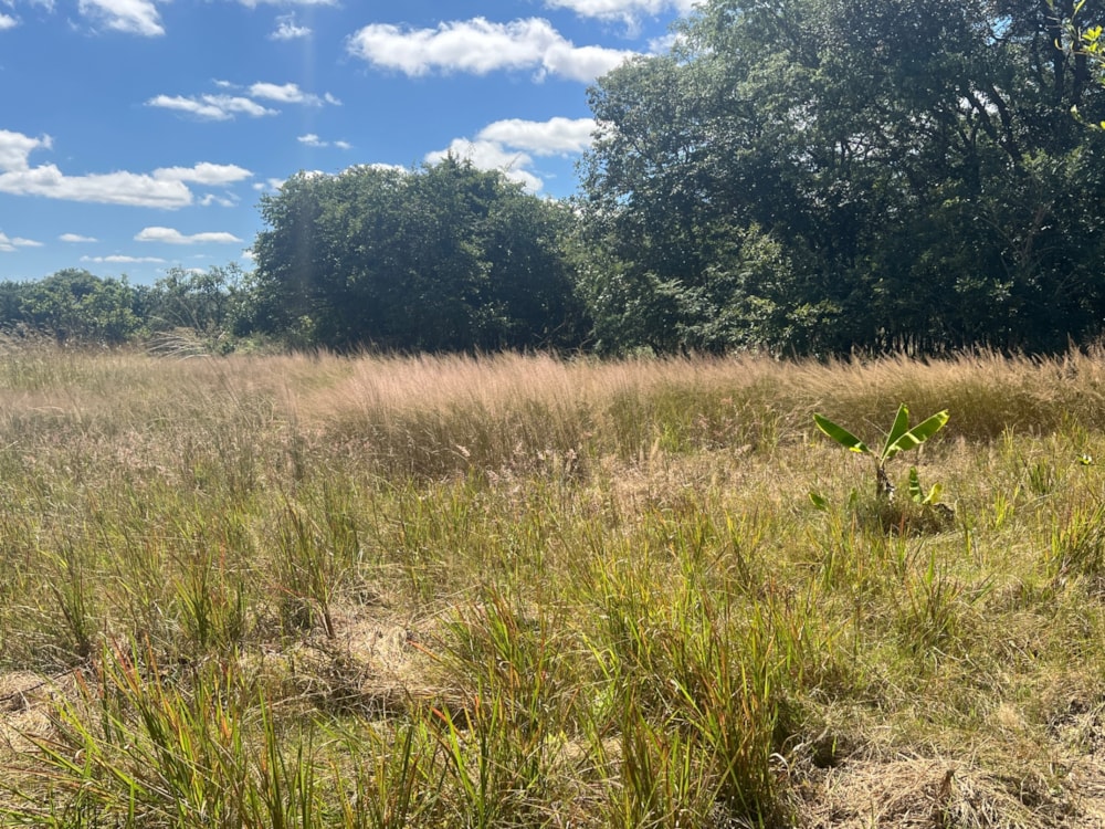 Vacant land for sale in Ibex Hill, Zambia - 3ZA1702578