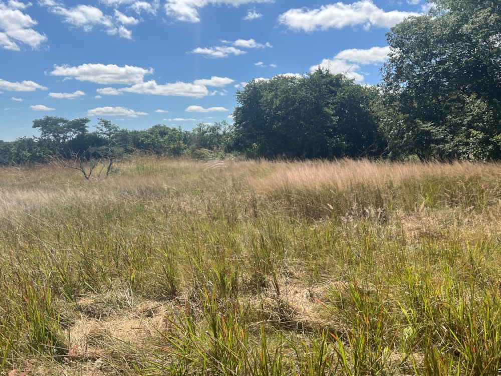 Vacant land for sale in Ibex Hill, Zambia - 3ZA1702578