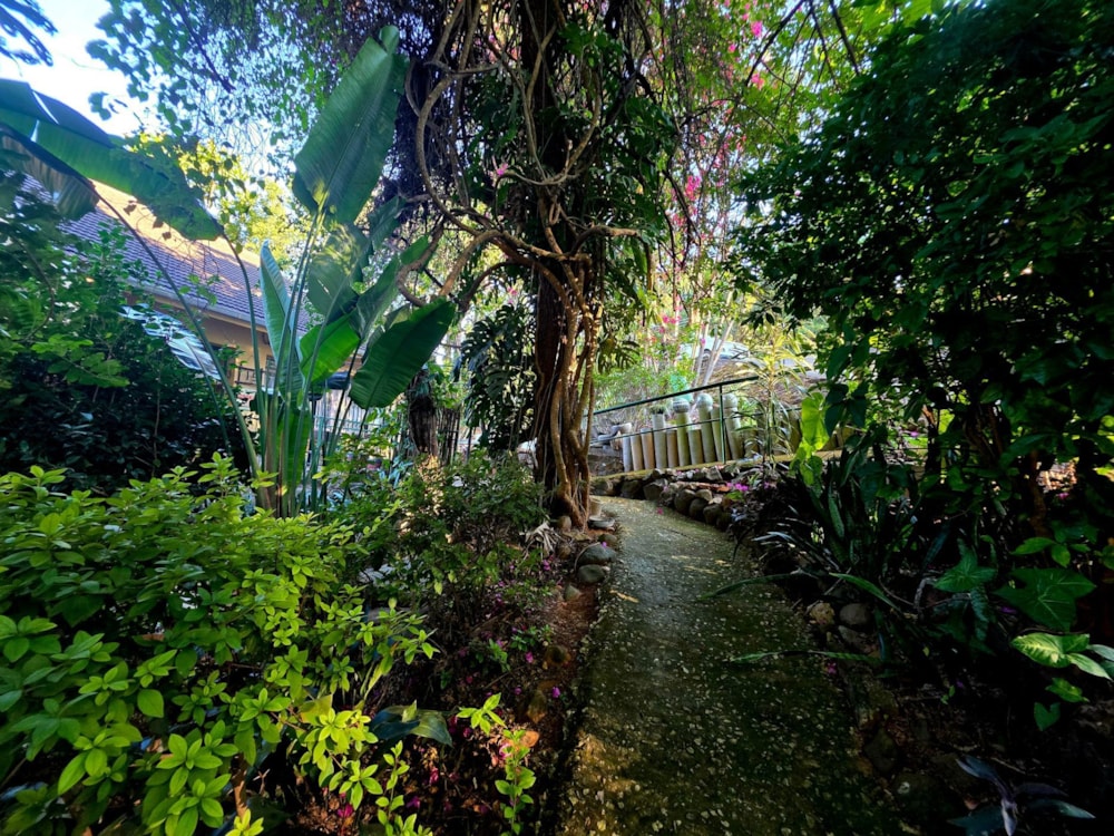 Double-storey house sold in Modjadjiskloof (Duiwelskloof)  - 1TA1702607 Double-storey house sold in Modjadjiskloof (Duiwelskloof)  - 1TA1702607