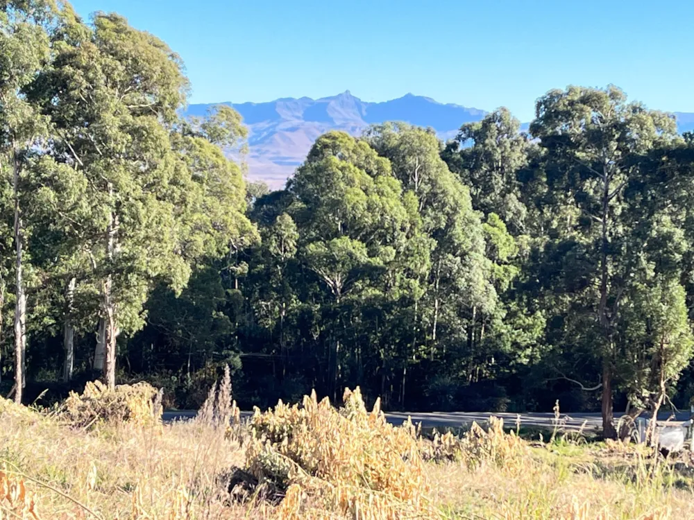 Vacant land for sale in Underberg - 1UB1699565 Vacant land for sale in Underberg - 1UB1699565