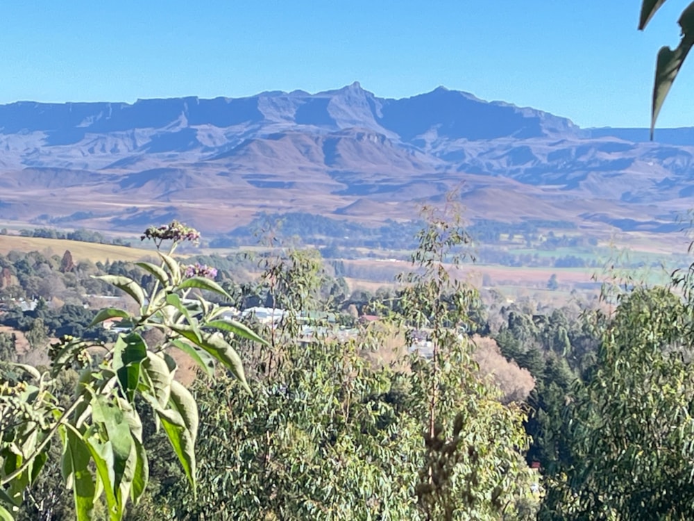 Vacant land for sale in Underberg - 1UB1699565
