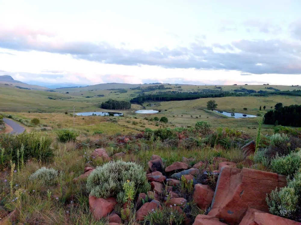 Vacant land for sale in Dullstroom - 1DS1700596 Vacant land for sale in Dullstroom - 1DS1700596