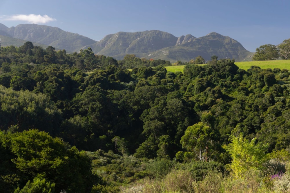 Residential vacant land for sale in Welgelegen Estate - GEO1702841