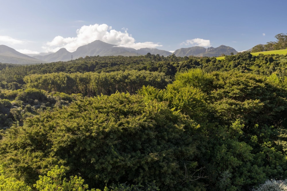 Residential vacant land for sale in Welgelegen Estate - GEO1702841