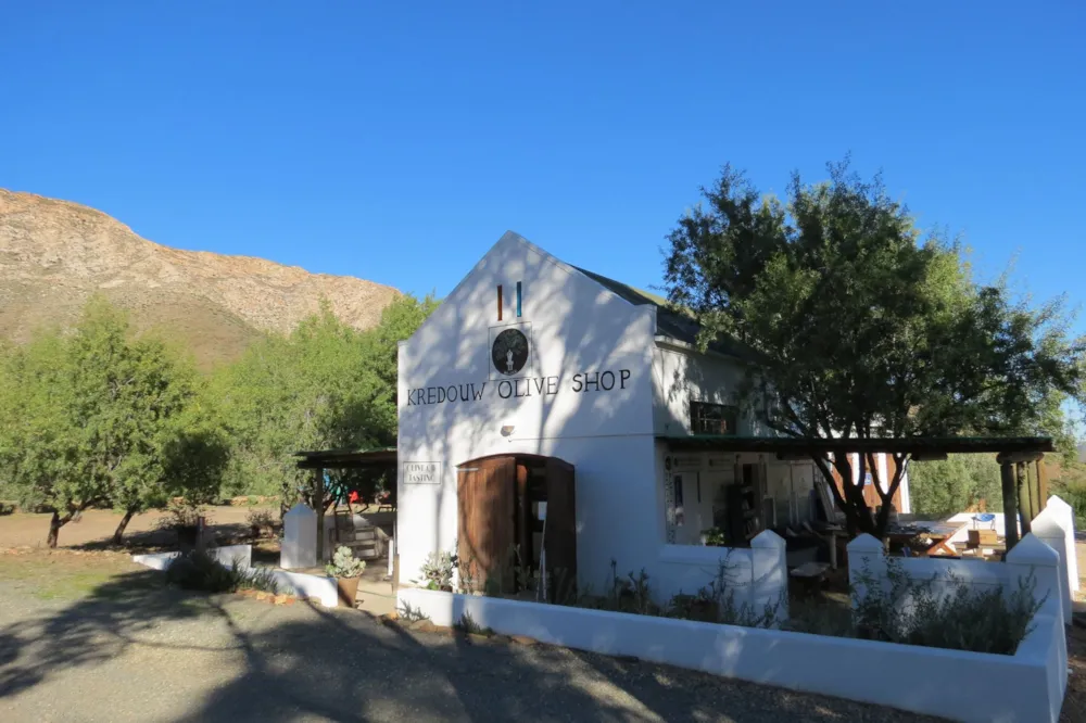 Olive farm for sale in Prince Albert Rural - 1KK1700300