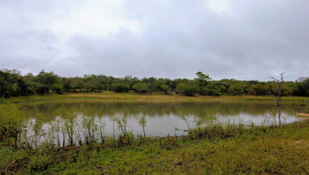 Game lodge for sale in Hectorspruit - 1NK1700009