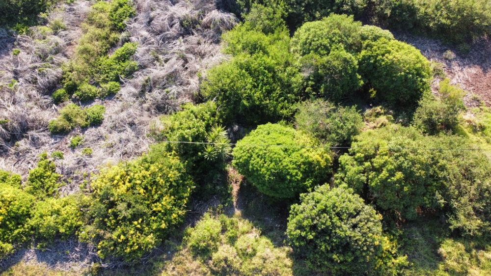 Vacant land for sale in Paradise Beach, Jeffreys Bay - 1JF1701757 Vacant land for sale in Paradise Beach, Jeffreys Bay - 1JF1701757