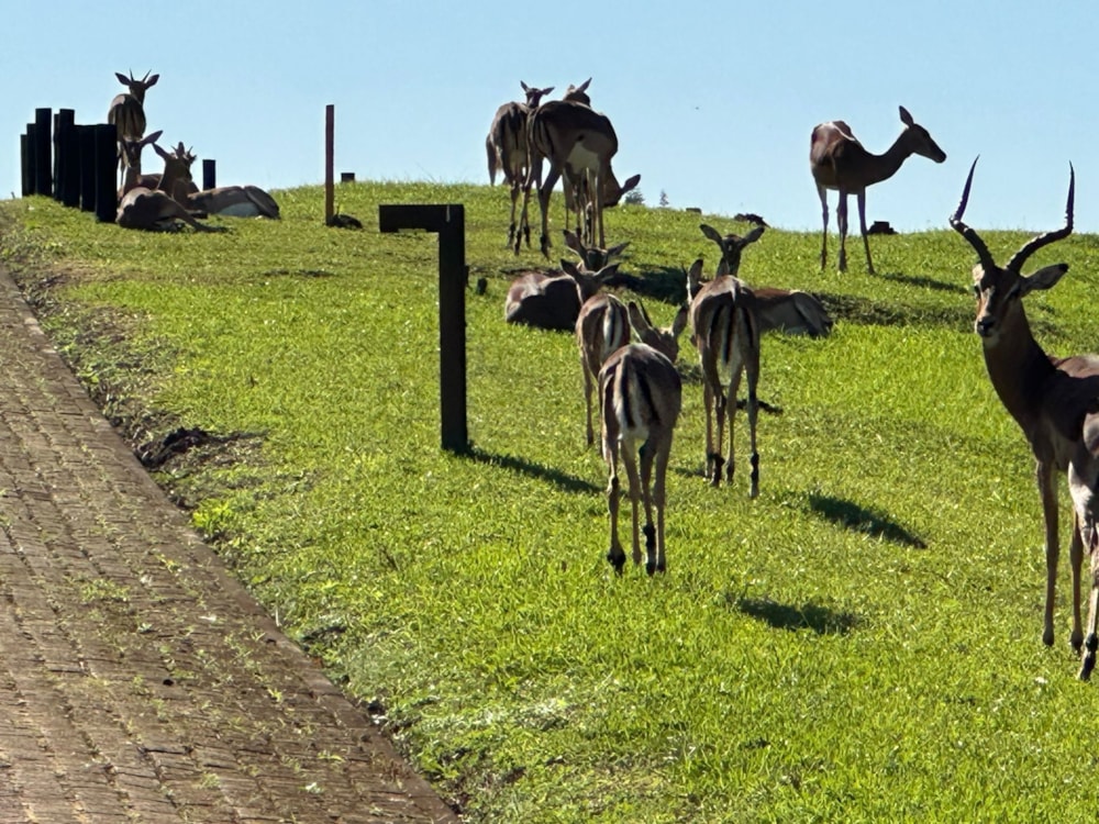 Residential vacant land for sale in Leisure Bay - 1PD1677337 Residential vacant land for sale in Leisure Bay - 1PD1677337