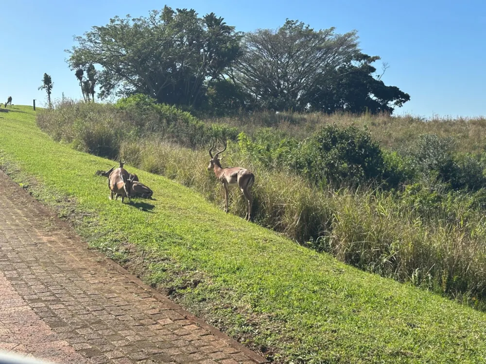 Residential vacant land for sale in Leisure Bay - 1PD1677337 Residential vacant land for sale in Leisure Bay - 1PD1677337