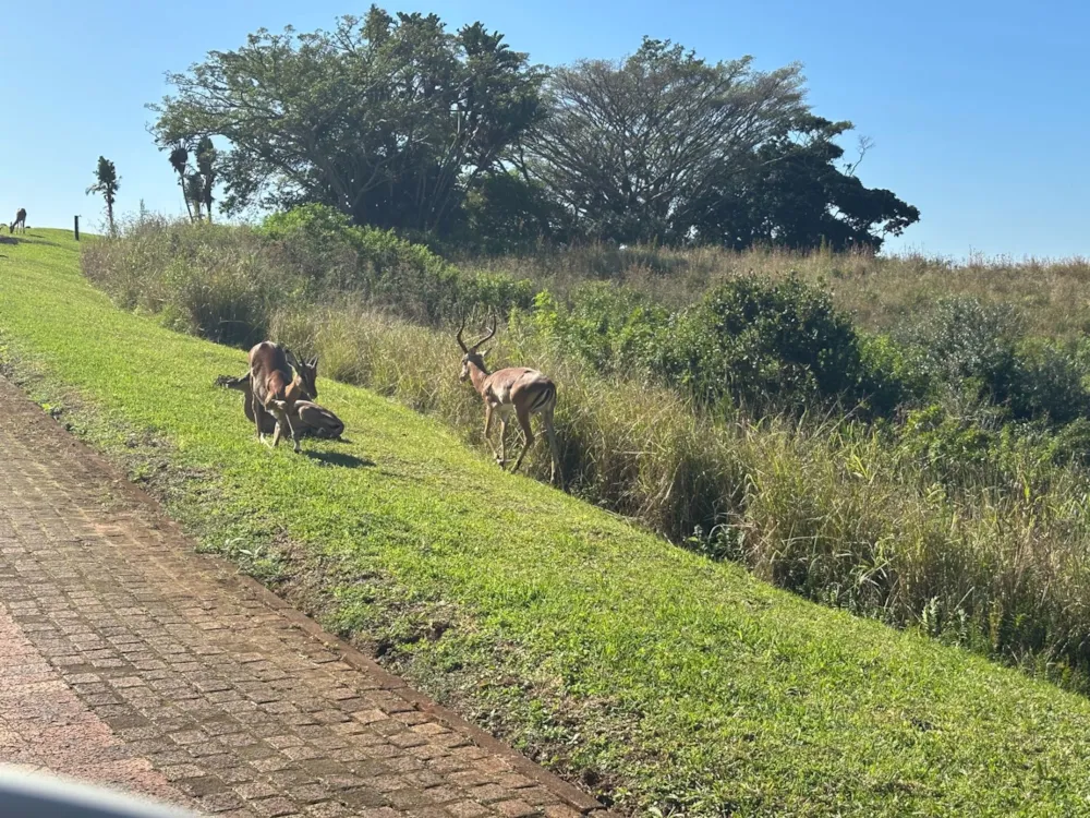 Residential vacant land for sale in Leisure Bay - 1PD1677337 Residential vacant land for sale in Leisure Bay - 1PD1677337
