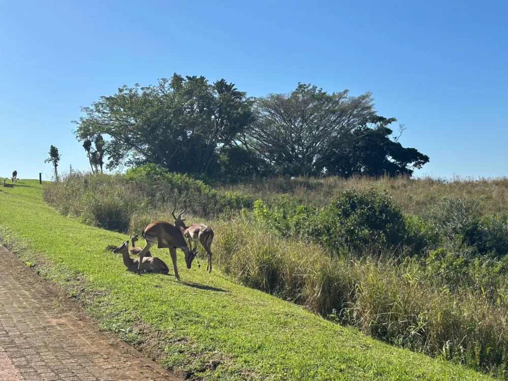 Residential vacant land for sale in Leisure Bay - 1PD1677337 Residential vacant land for sale in Leisure Bay - 1PD1677337