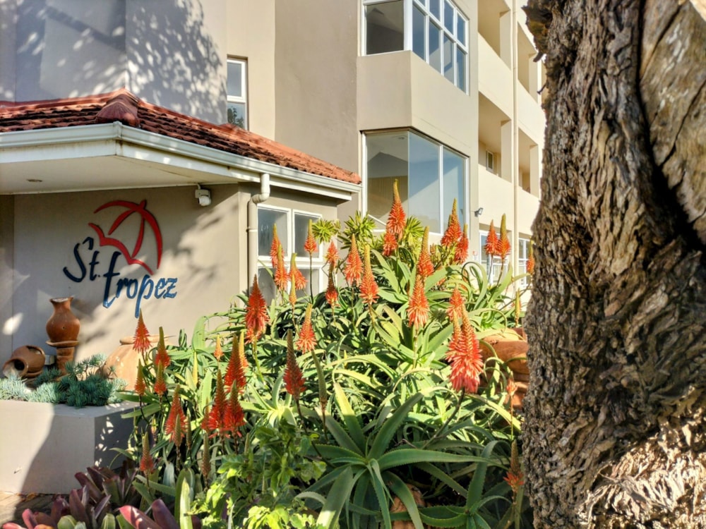 Apartment for sale in Manaba - 1PSH1703135