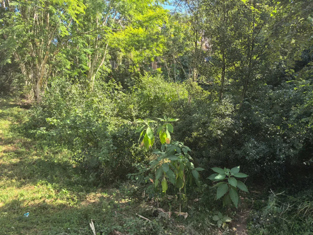 Residential vacant land for sale in Nelspruit (Mbombela) - 1NS1702928
