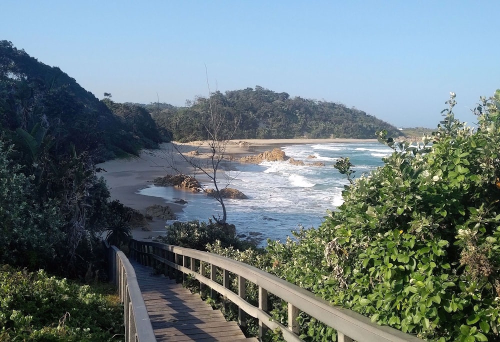 Vacant land for sale in Leisure Bay - 1PD1401538 Vacant land for sale in Leisure Bay - 1PD1401538