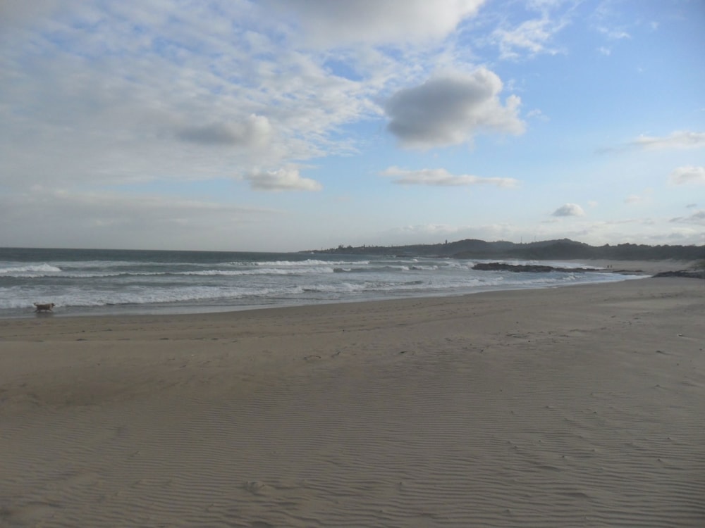 Vacant land for sale in Leisure Bay - 1PD1401538 Vacant land for sale in Leisure Bay - 1PD1401538