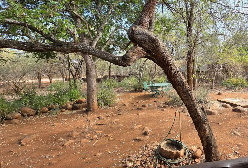 House to rent in Marloth Park - 1NK1705183 House to rent in Marloth Park - 1NK1705183