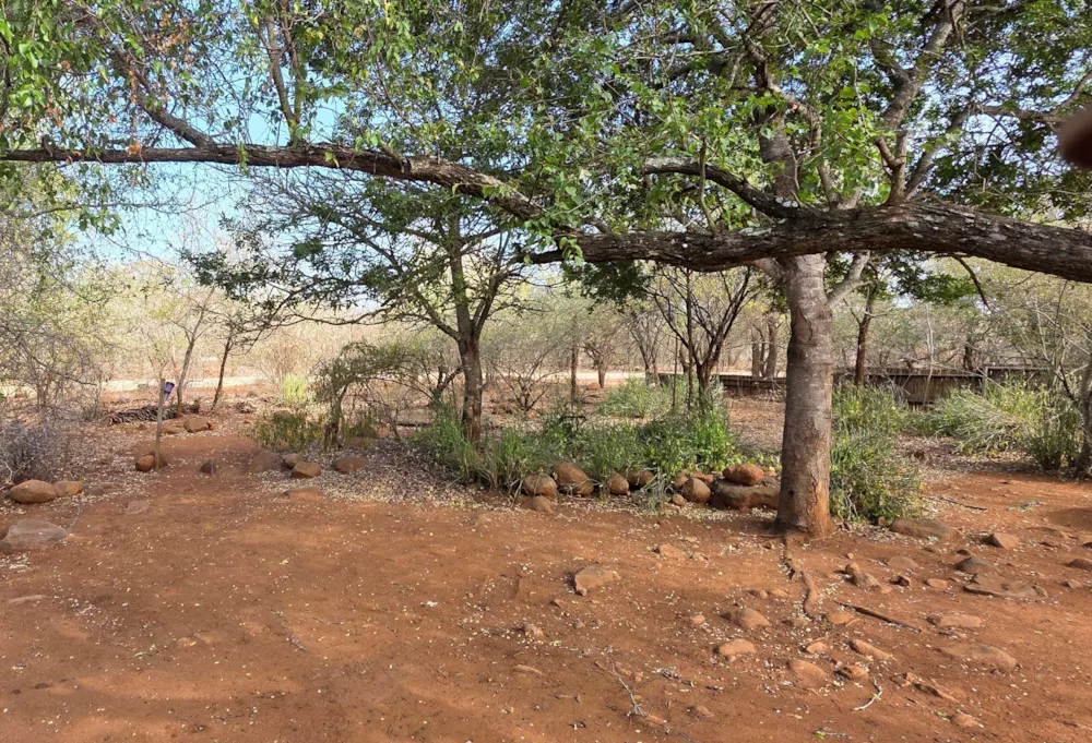 House to rent in Marloth Park - 1NK1705183 House to rent in Marloth Park - 1NK1705183