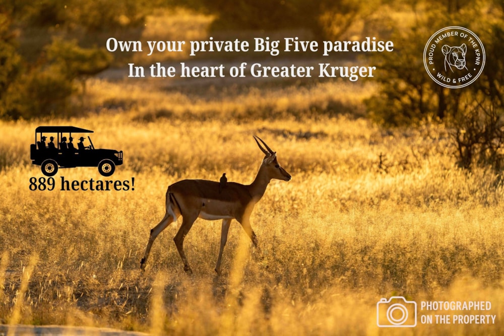 Game farm for sale in Klaserie - 1HS1703811 Game farm for sale in Klaserie - 1HS1703811