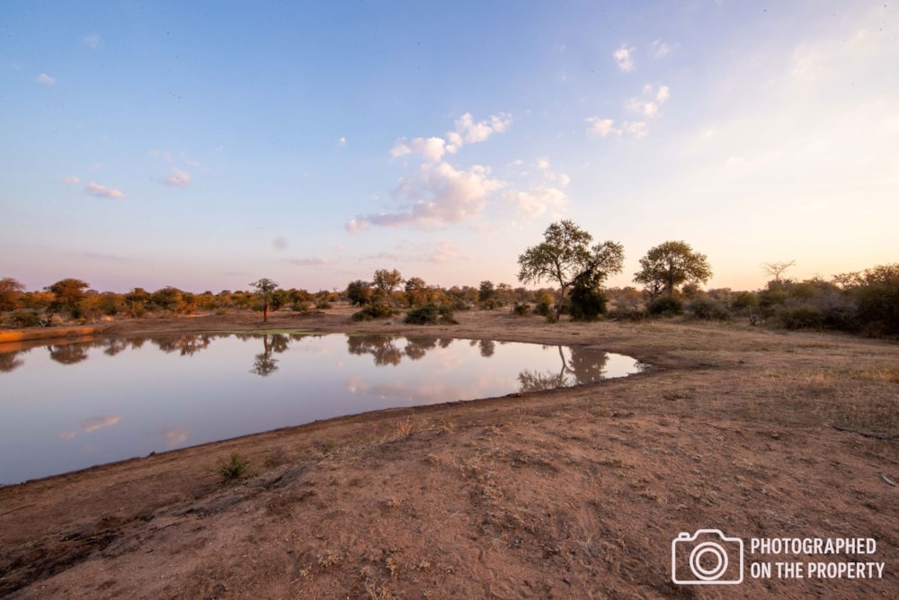 Game farm for sale in Klaserie - 1HS1703811 Game farm for sale in Klaserie - 1HS1703811