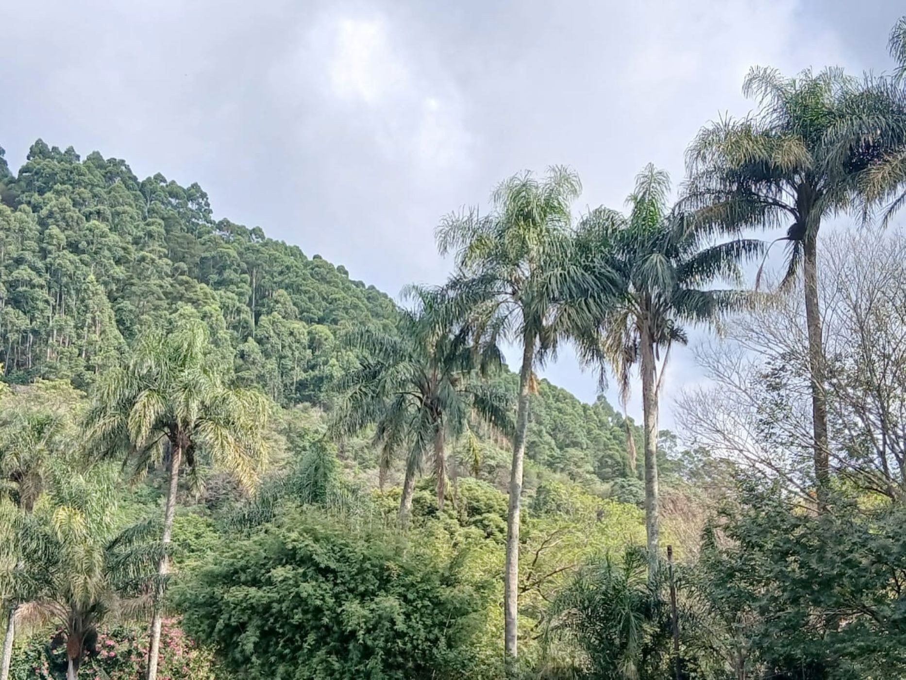 Vacant land for sale in Wembley - 1PM1704955