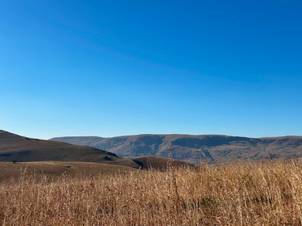 Vacant land sold in Highland Gate - 1DS1705129 Vacant land sold in Highland Gate - 1DS1705129