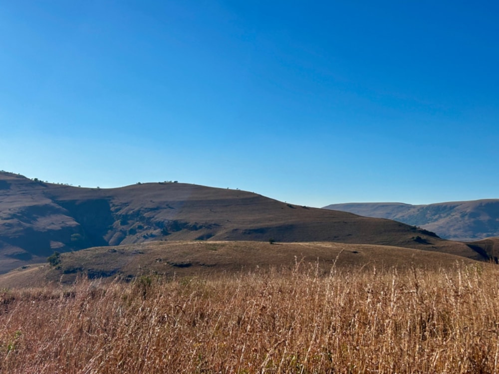 Vacant land sold in Highland Gate - 1DS1705129 Vacant land sold in Highland Gate - 1DS1705129