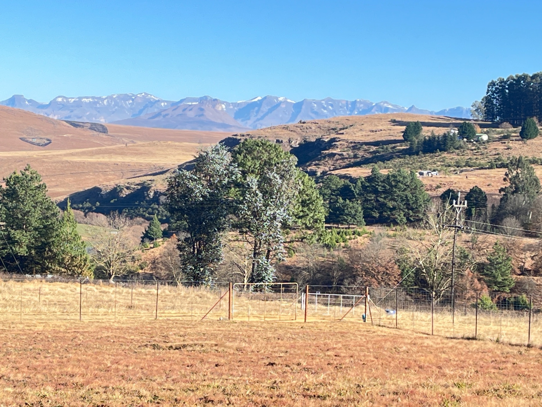 Vacant land for sale in Underberg - 1UB1704725