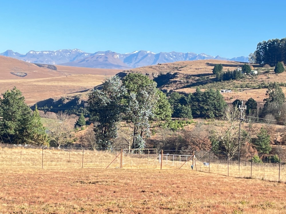 Vacant land for sale in Underberg - 1UB1704725