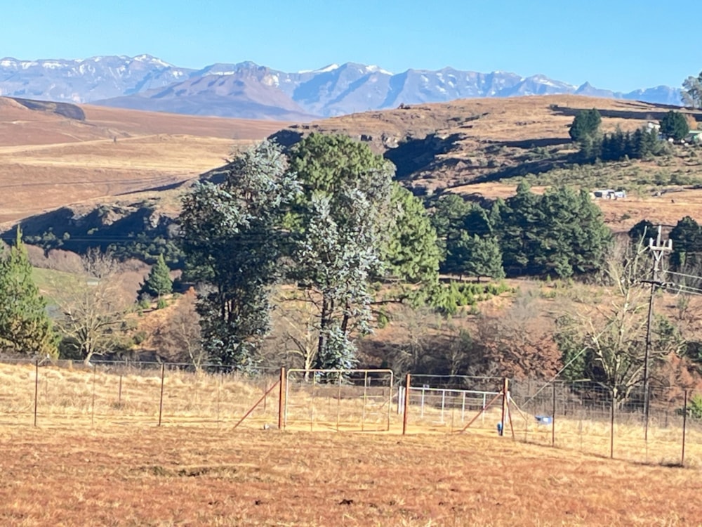 Vacant land for sale in Underberg - 1UB1704725
