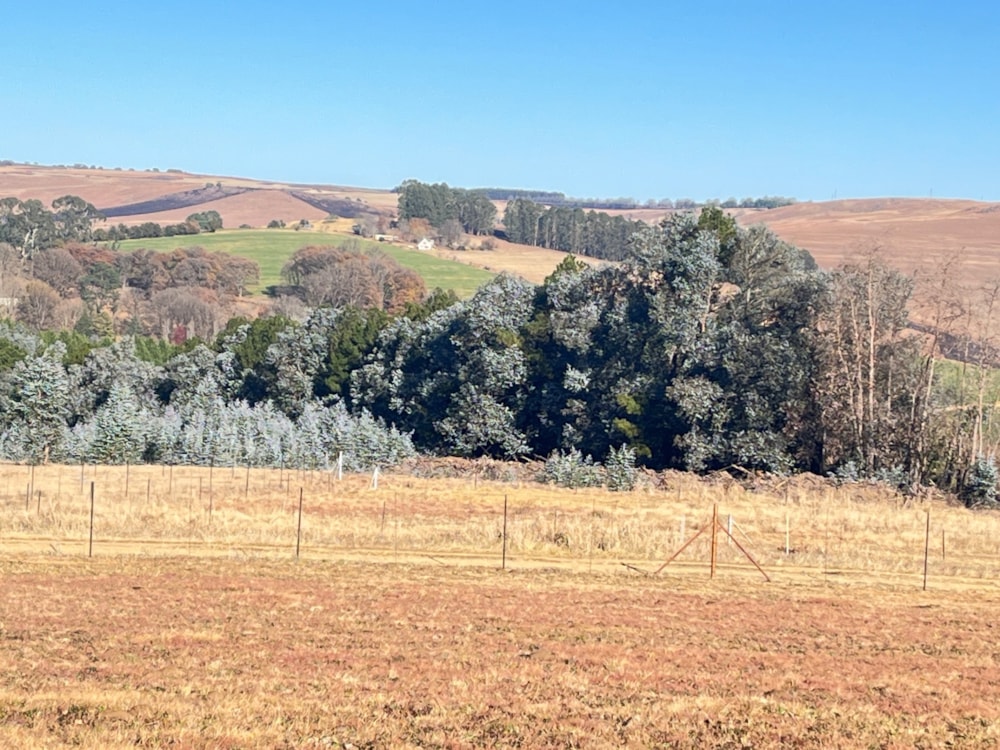 Vacant land for sale in Underberg - 1UB1704725