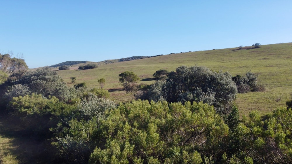 Farm vacant land for sale in Cannon Rocks - 1KO1638446