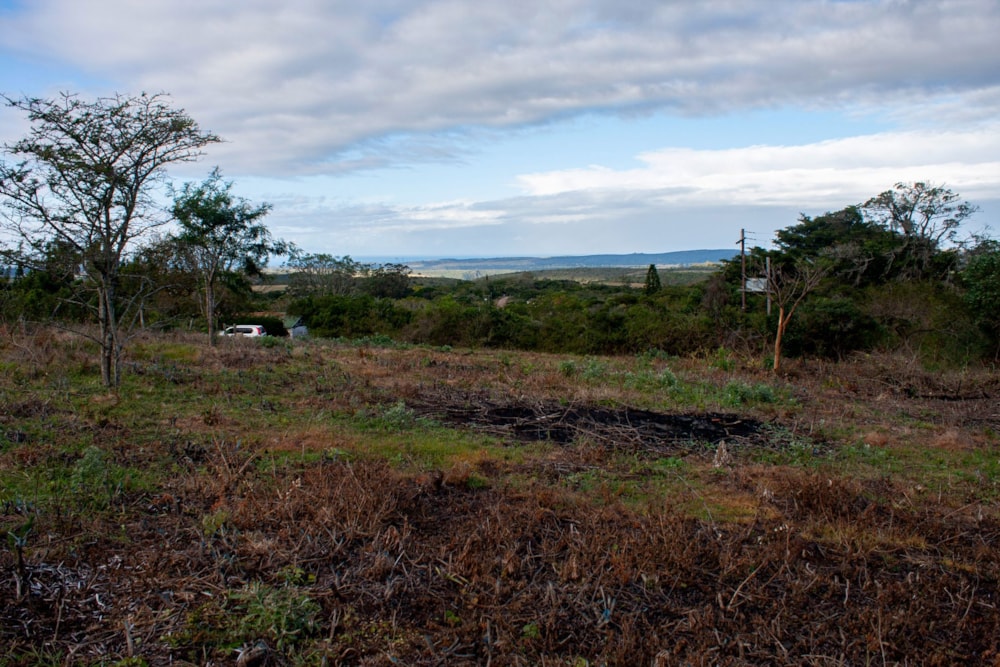 Vacant land for sale in Bathurst - 1PF1635371 Vacant land for sale in Bathurst - 1PF1635371