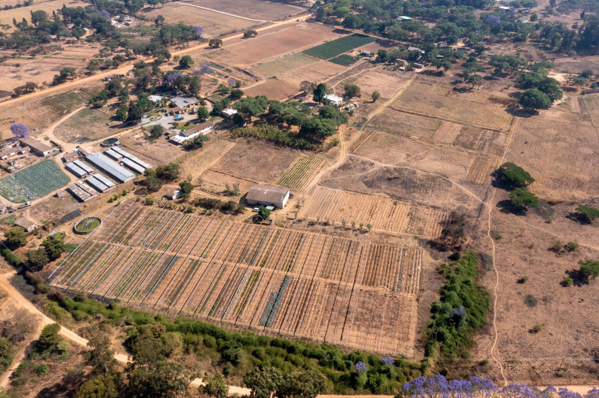 Smallholding for sale in Ruwa, Zimbabwe - 3ZB1705741