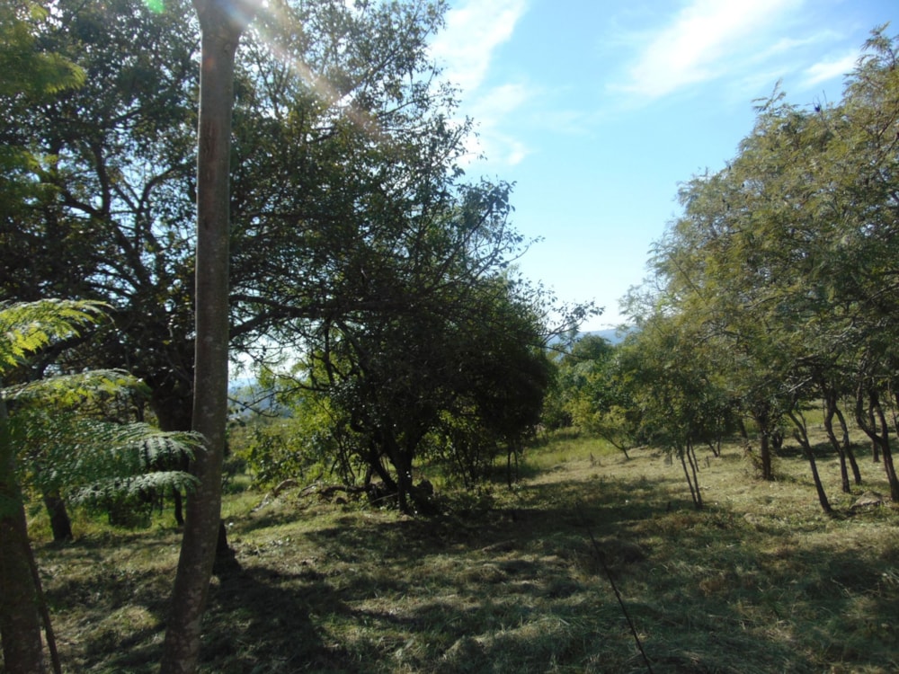 House for sale in Drum Rock - 1NS1703349 House for sale in Drum Rock - 1NS1703349