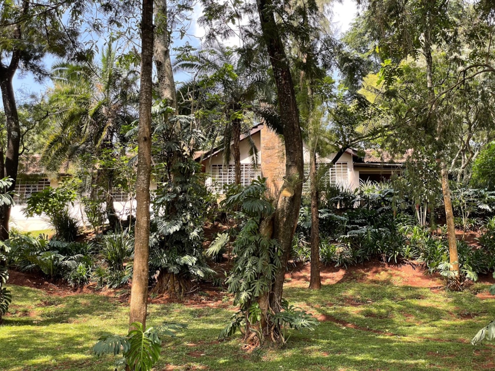 House for sale in Kyuna , Kenya - 3KE1696909