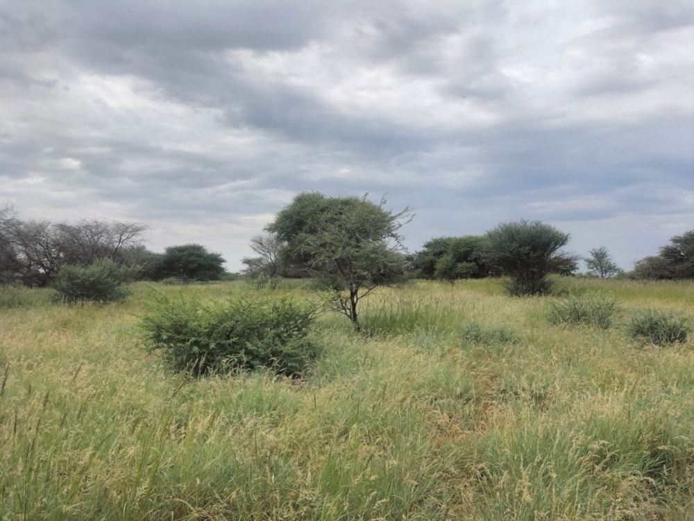 Farm vacant land for sale in Douglas - 1KJ1703204 Farm vacant land for sale in Douglas - 1KJ1703204