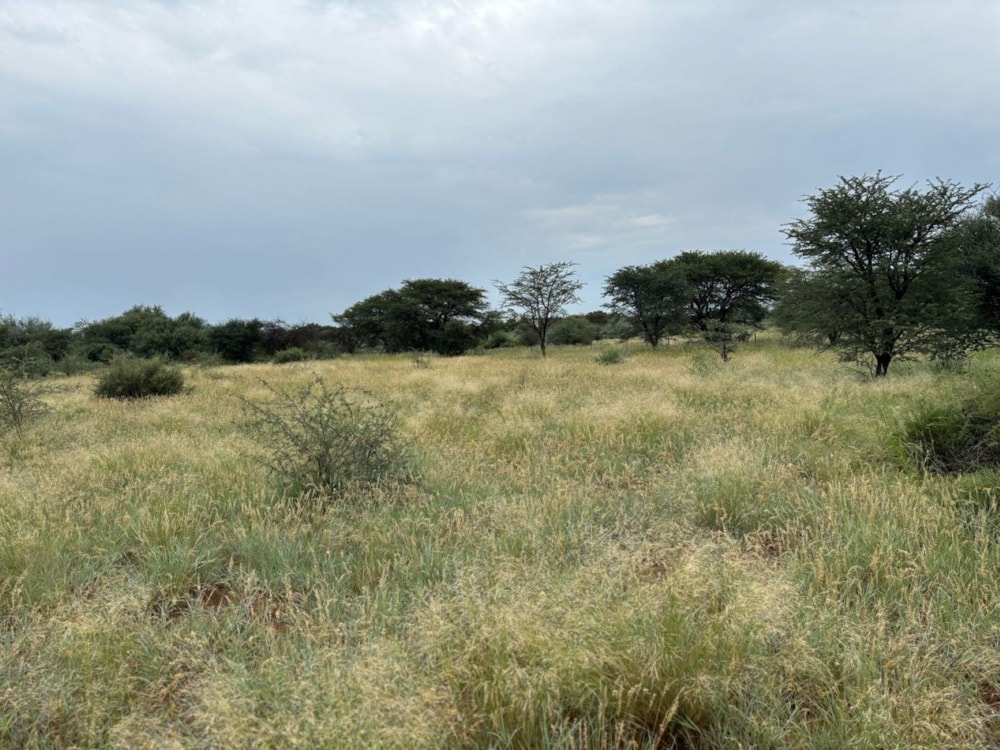 Farm vacant land for sale in Douglas - 1KJ1703204