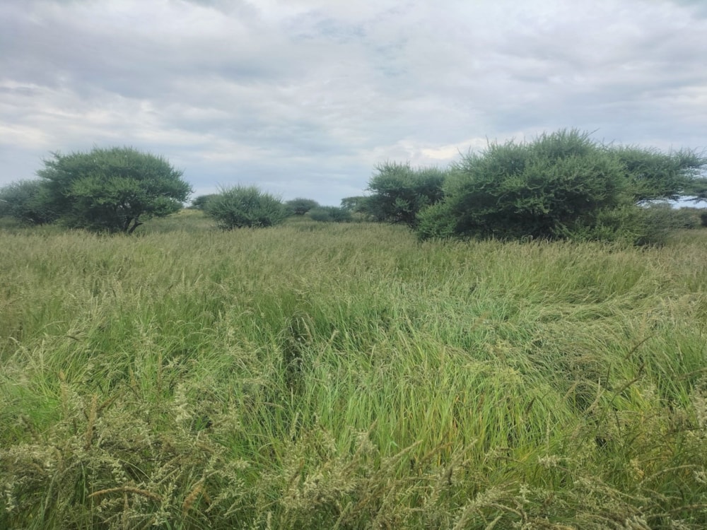 Farm vacant land for sale in Douglas - 1KJ1703204 Farm vacant land for sale in Douglas - 1KJ1703204