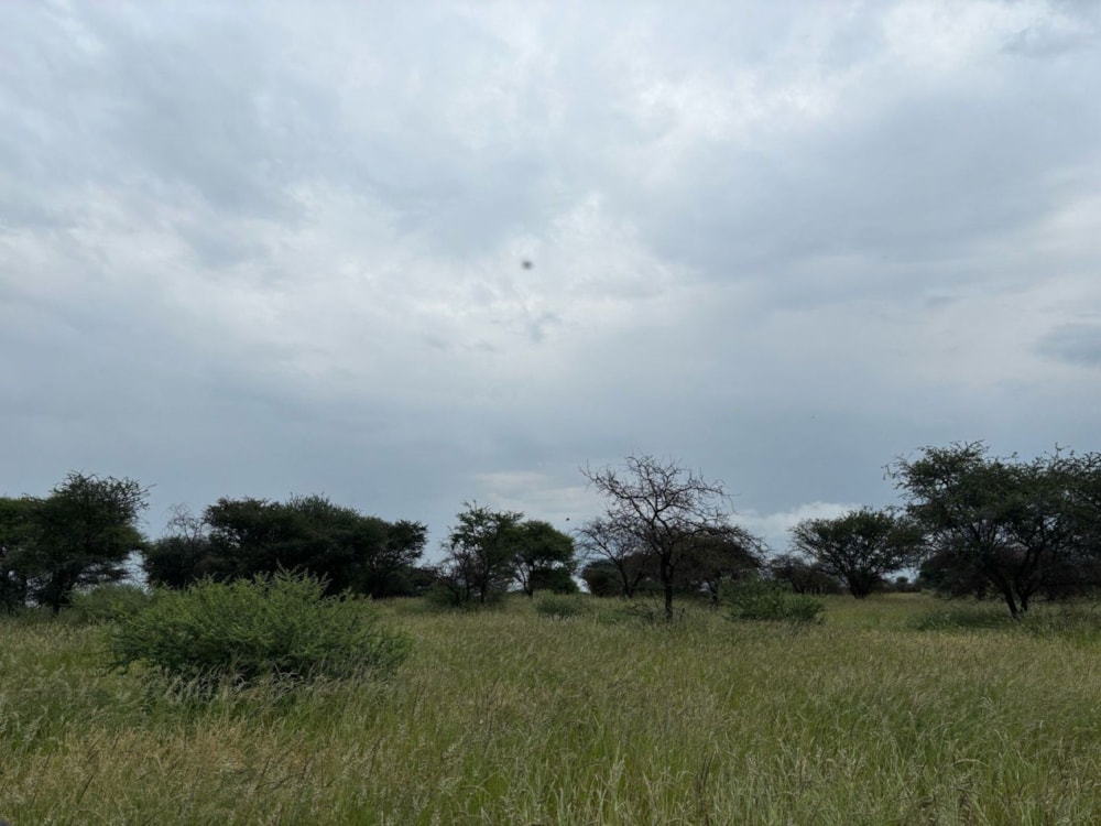 Farm vacant land for sale in Douglas - 1KJ1703204 Farm vacant land for sale in Douglas - 1KJ1703204