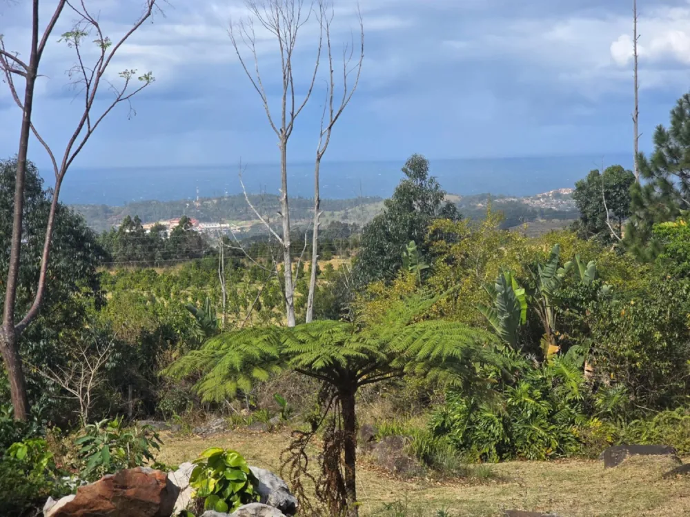 Double-storey house for sale in Banners Rest - 1PD1704771