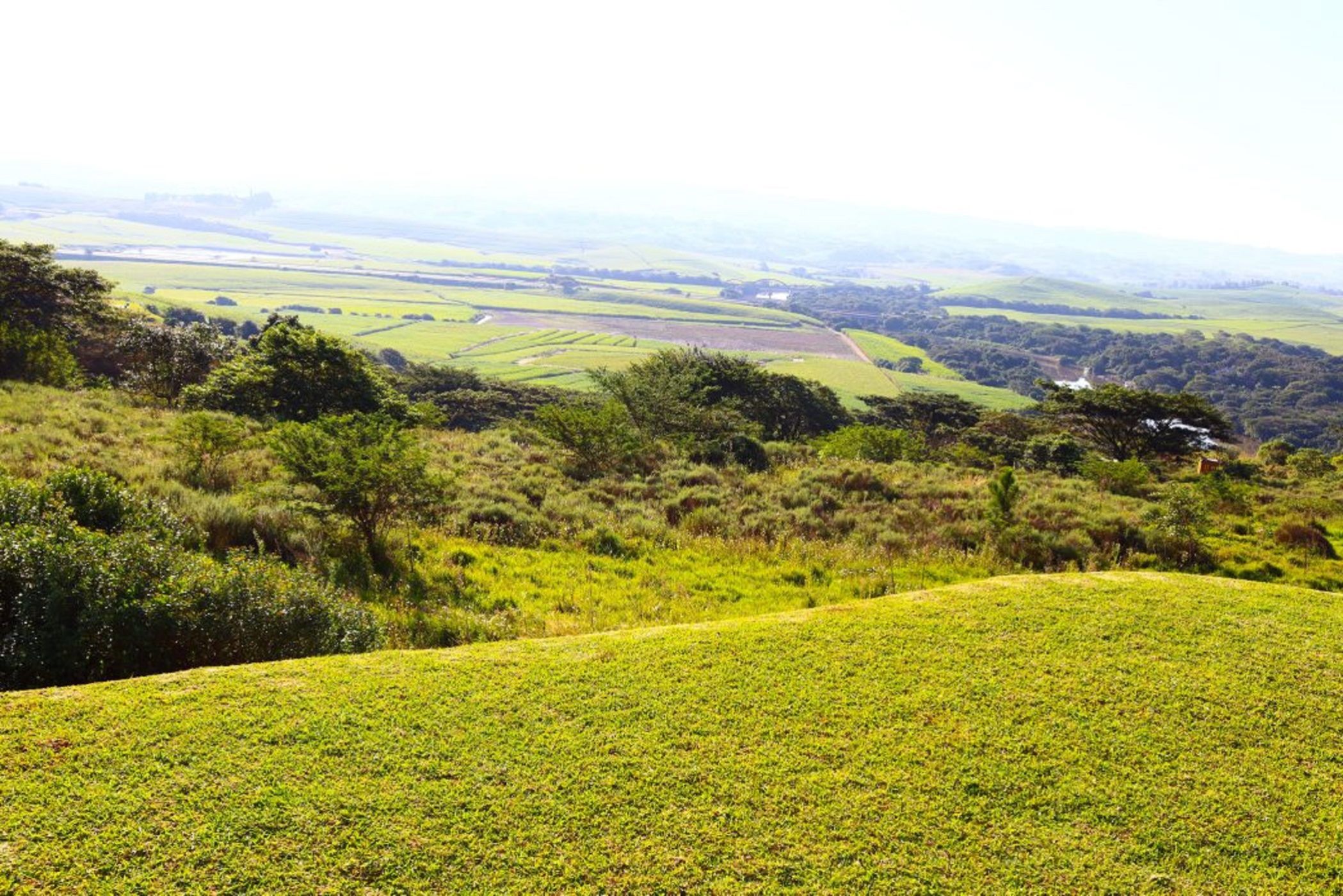 Vacant land for sale in Mtunzini - 1RY1700379