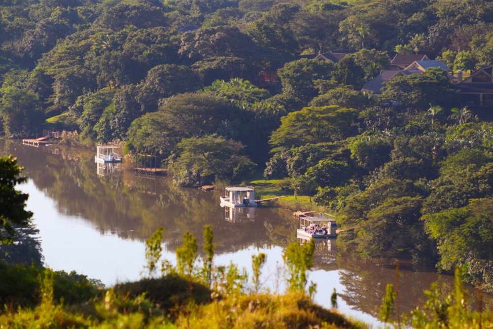 Vacant land for sale in Mtunzini - 1RY1700379