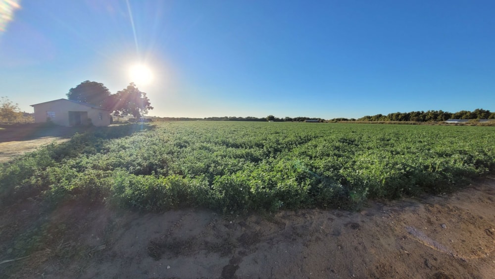Irrigation farm for sale in Keidebees - 1KAH1702912