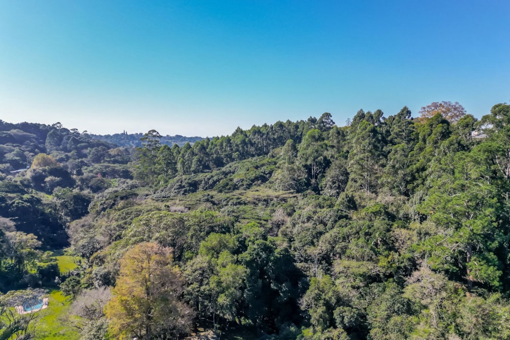 Residential vacant land for sale in Everton - 1KF1701831 Residential vacant land for sale in Everton - 1KF1701831