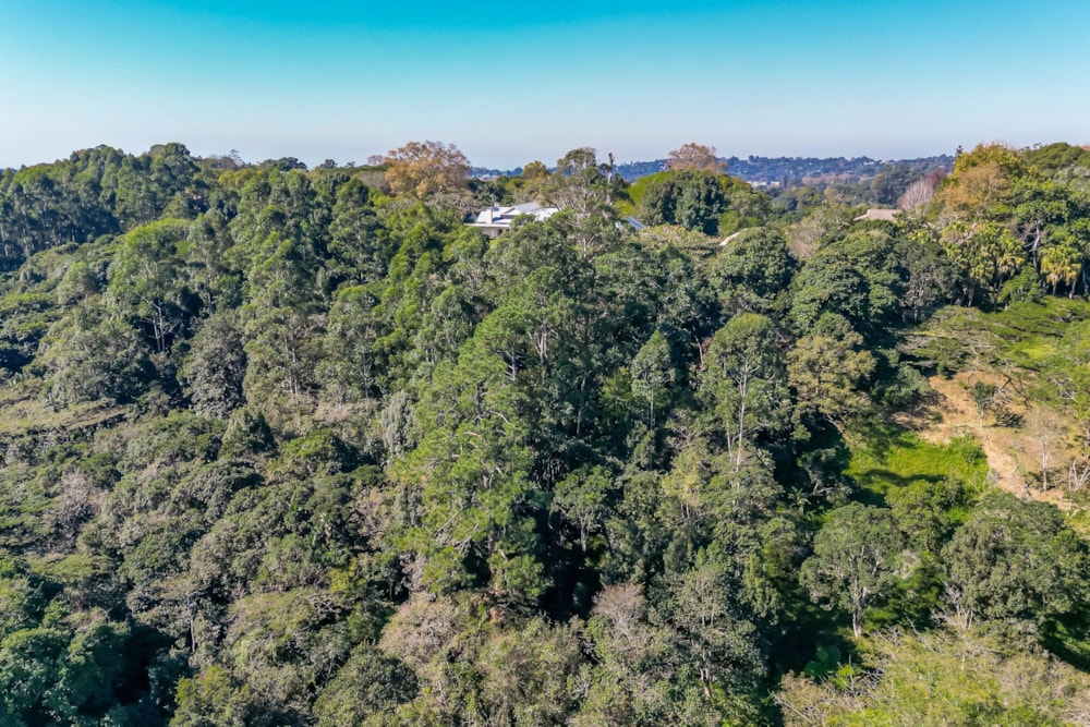 Residential vacant land for sale in Everton - 1KF1701835 Residential vacant land for sale in Everton - 1KF1701835